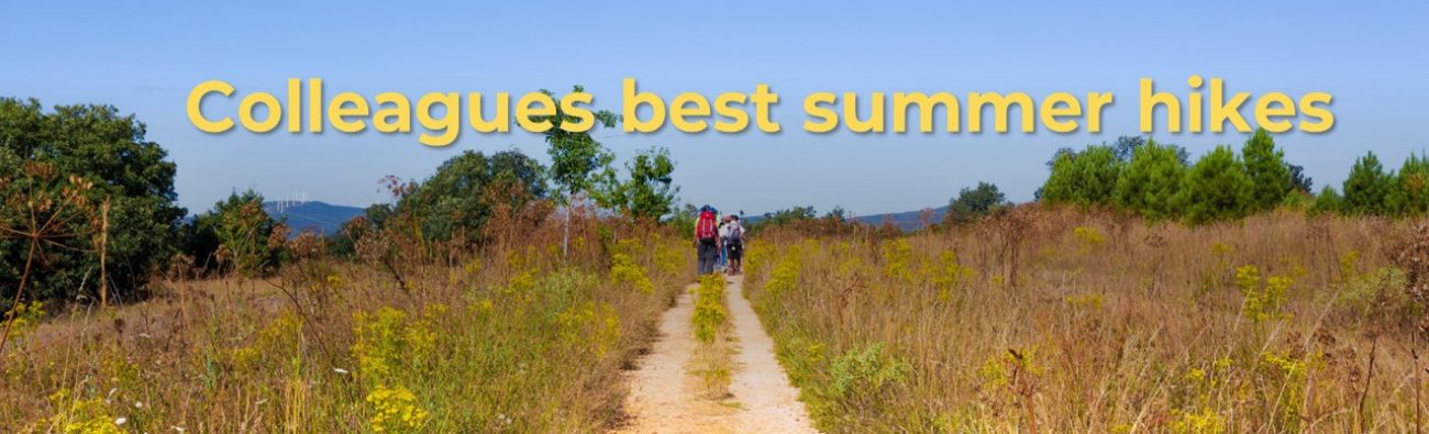 Colleagues best summer hikes