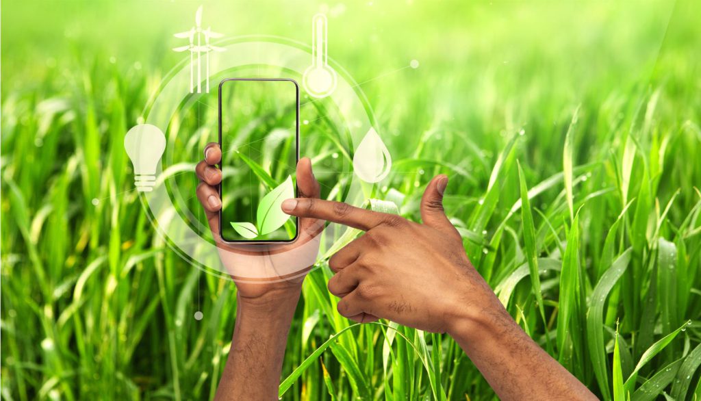 Marketing Activities around Remarketing/2nd life IT