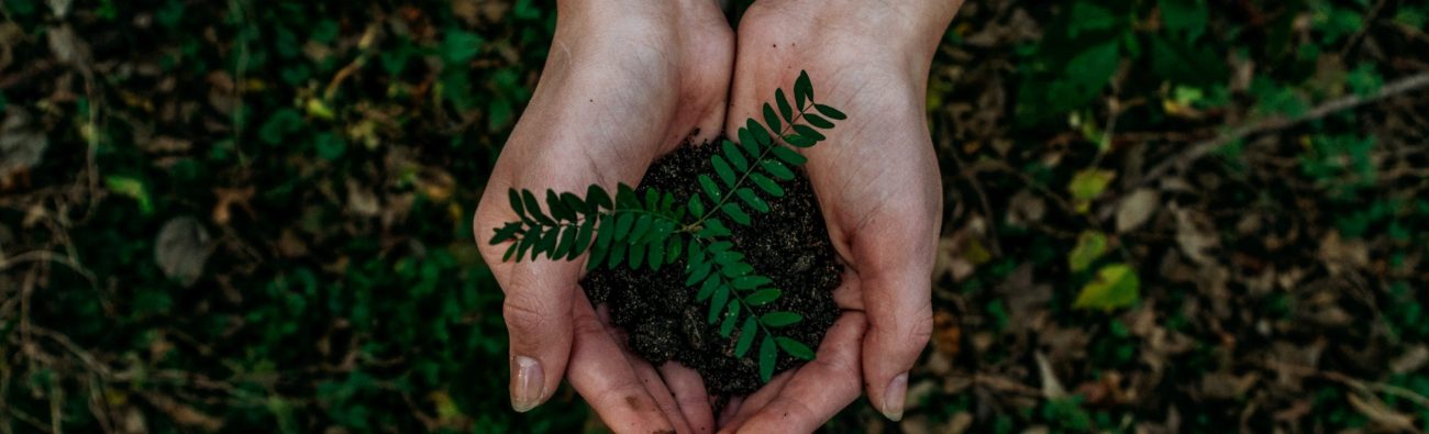 noah-buscher-x8ZStukS2PM-unsplash