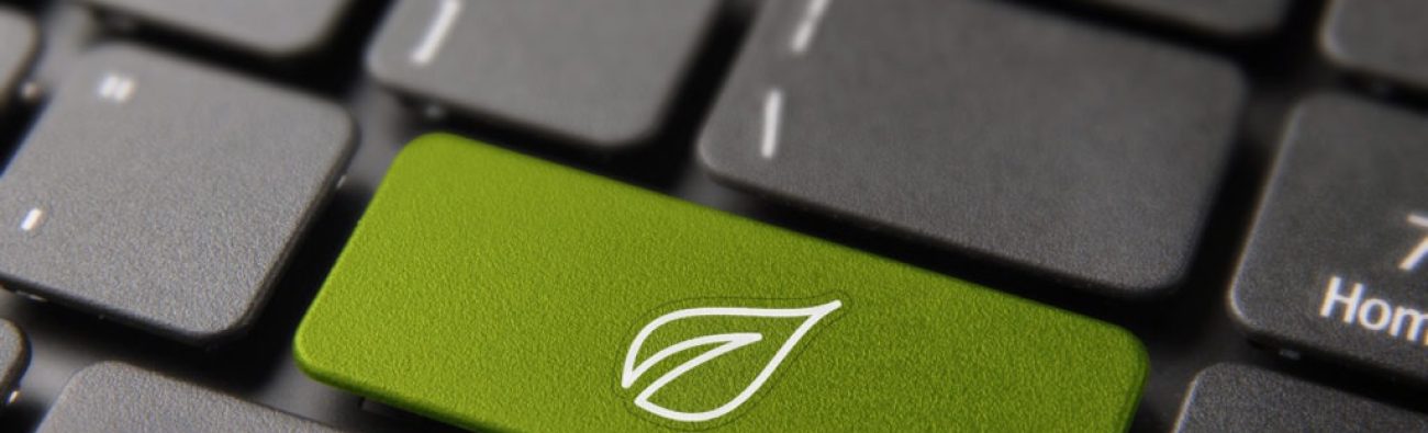 Green energy button on computer keyboard for environment help and conservation awareness concept. Laptop key with modern tree leaf line art icon.