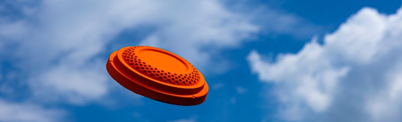 Kleiduivenschieten EMS