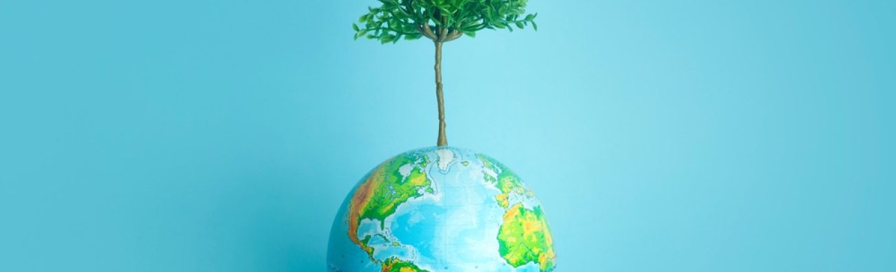 Van chiptekort naar beter milieu