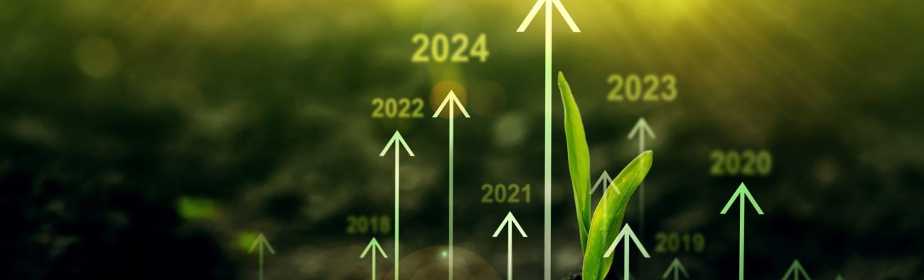 Seedling,Are,Growing,From,Soil,With,Growth,Comparative,Year,2019