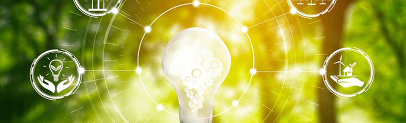 CSR, sustainability, circular economy, green energy