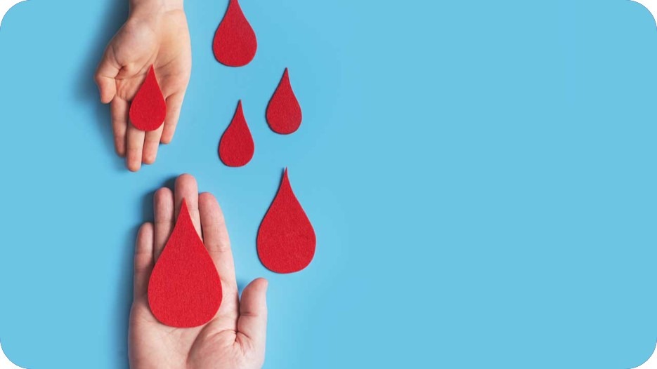 Participez à sauver des vies : le don de sang au coeur de notre engagement collectif