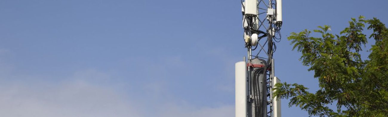 0603728003954-web-tete