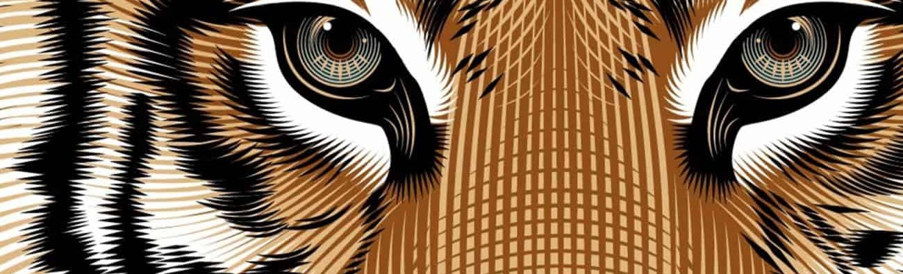 CAMPAGNE-e1593076534983 (1)