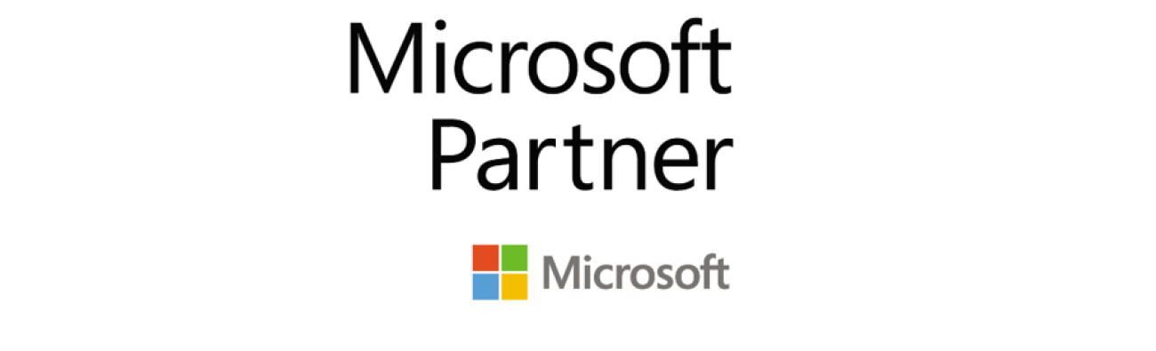 Microsoft Partner 2