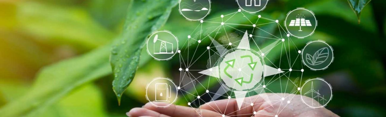 shutterstock_1458754403