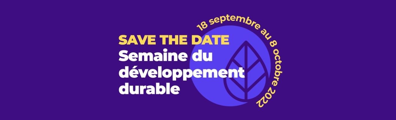 viuel SDD2022 STD FR